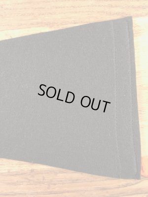 カラーフロッキーのカレッジ物の50〜60’sヴィンテージフェルトペナント