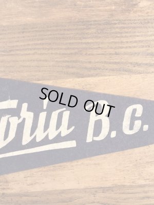 トーテムポールが描かれたスーベニア物の50〜60’sヴィンテージフェルトペナント