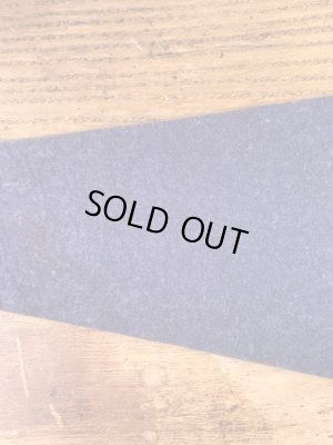 インディアンが描かれたスーベニア物の50〜60年代ビンテージペナント