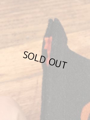 カラーフロッキーのカレッジ物の50〜60’sヴィンテージフェルトペナント