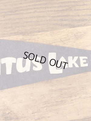 インディアンが描かれたスーベニア物の50〜60年代ビンテージペナント