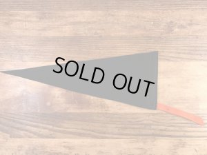 カラーフロッキーのカレッジ物の50〜60’sヴィンテージフェルトペナント