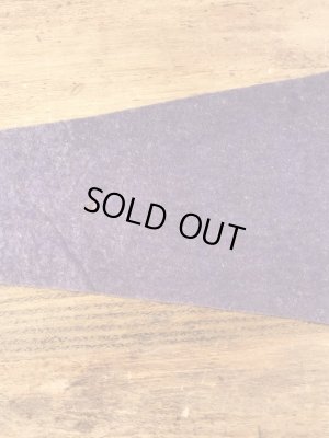 サンフランシスコチャイナタウンのスーベニア物の50〜60’sヴィンテージフェルトペナント