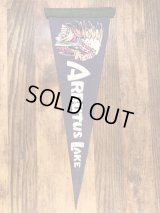 Arbutus Lake “Indian” Souvenir Pennant　インディアン　ビンテージ　ペナント　スーベニア　50〜60年代