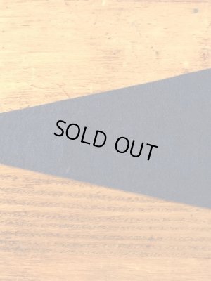 San Jose Stateのカレッジ物の50〜60’sヴィンテージフェルトペナント