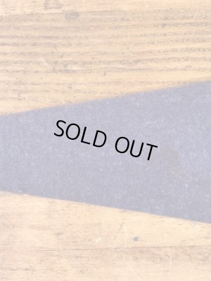 インディアンが描かれたArbutus Lakeの50〜60’sヴィンテージフェルトペナント