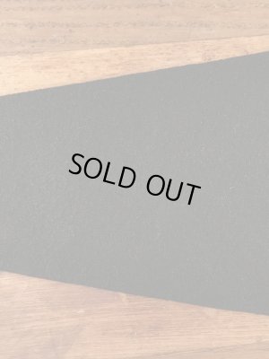 カリフォルニアパシフィック大学のカレッジ物の50〜60年代ビンテージペナント