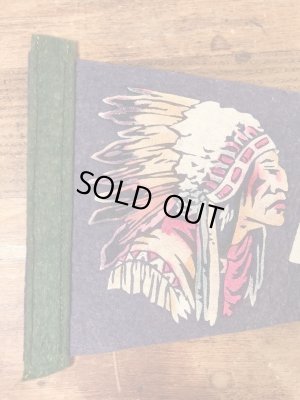 インディアンが描かれたスーベニア物の50〜60年代ビンテージペナント