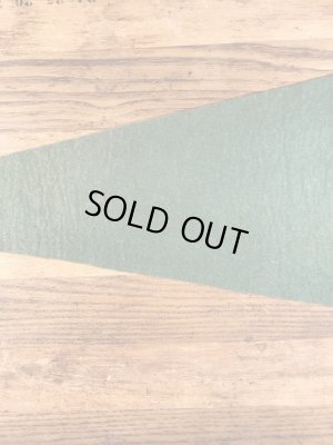 USアーミーのCamp Fannin,Texasの40〜50年代ビンテージペナント