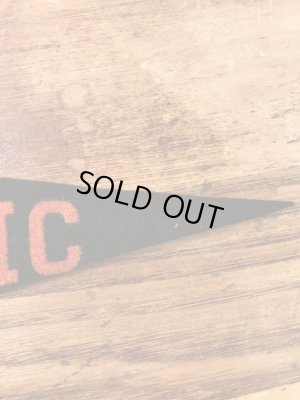 カラーフロッキーのカレッジ物の50〜60’sヴィンテージフェルトペナント