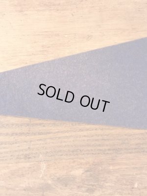 トーテムポールが描かれたスーベニア物の50〜60’sヴィンテージフェルトペナント