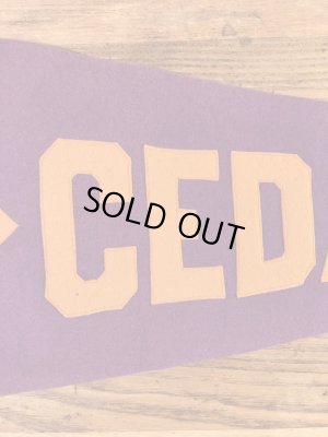 ユニバーシティ物のフェルト製の30〜40年代ビンテージペナント