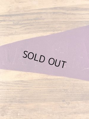 Cedar Fallsのカレッジ物の30〜40’sヴィンテージフェルトペナント