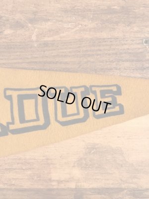 カラーフロッキーのユニバーシティ物の60年代〜ビンテージペナント