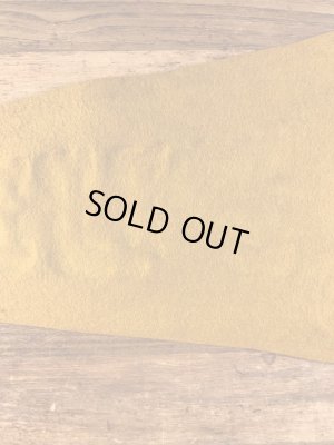 カラーフロッキーのユニバーシティ物の60年代〜ビンテージペナント