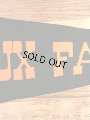 ユニバーシティ物のフェルト製の30〜40年代ビンテージペナント