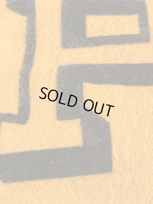 カラーフロッキーのユニバーシティ物の60年代〜ビンテージペナント