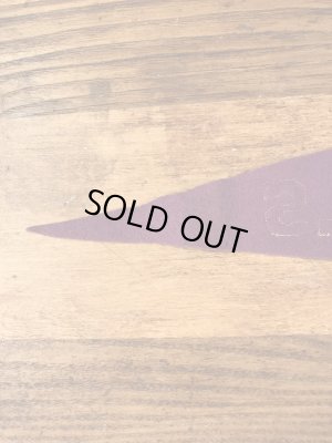 Cedar Fallsのカレッジ物の30〜40’sヴィンテージフェルトペナント