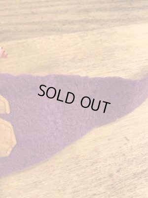 Cedar Fallsのカレッジ物の30〜40’sヴィンテージフェルトペナント