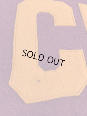 ユニバーシティ物のフェルト製の30〜40年代ビンテージペナント