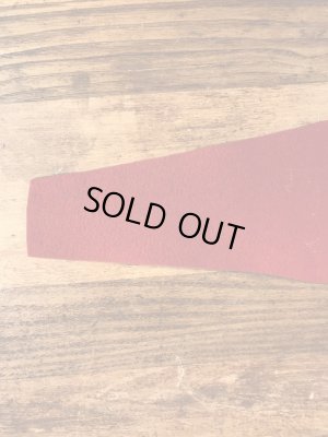 ブライアント大学のユニバーシティ物の30〜40年代ビンテージペナント