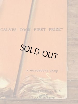 My Calves Took First Prizeのメッセージが書かれたピンナップガールの40’sヴィンテージカード