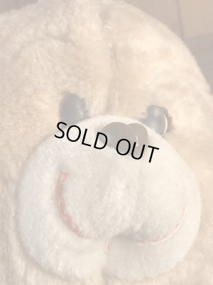 ケアベアのテンダーハートベアの80年代ビンテージ縫いぐるみ