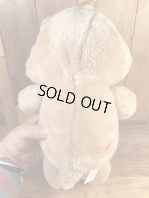 ケナー社製のケアベアの80’sヴィンテージプラッシュドール