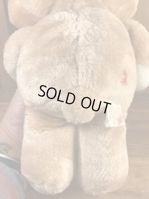 ケナー社製のケアベアの80’sヴィンテージプラッシュドール