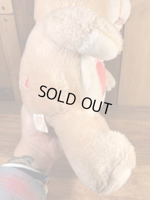 ケナー社製のケアベアの80’sヴィンテージプラッシュドール