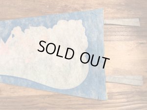 アドバタイジングキャラクターのマジックマウンテンの70年代ビンテージペナント