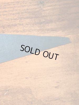 アドバタイジングキャラクターのマジックマウンテンの70年代ビンテージペナント