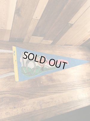 アドバタイジングキャラクターのマジックマウンテンの70年代ビンテージペナント