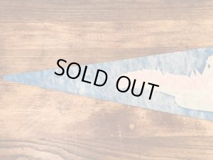 企業キャラクターのマジックマウンテントロールの70’sヴィンテージペナント