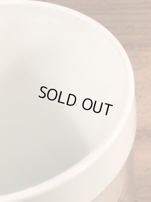 アドバタイジングキャラクターのレイドバグの70’sヴィンテージサーモスマグ