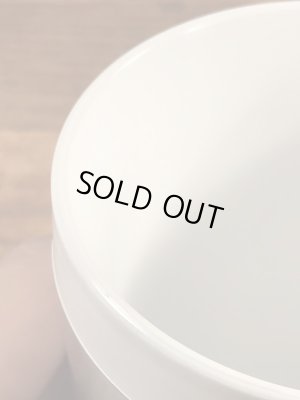 企業キャラクターのレイドバグの70年代ビンテージプラスチックマグ