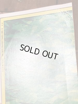 トップス社製のガーベッジペイルキッズの80年代ビンテージステッカーカード