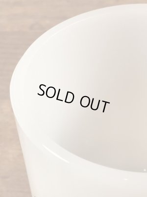 グラスベイク社製のレイドバグのようなプリントのミルクガラス製ビンテージマグカップ