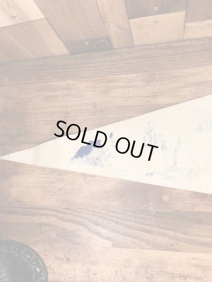 ワーナーブラザーズのルーニーテューンズの70年代ビンテージペナント