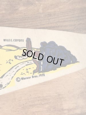 ワーナーブラザーズのルーニーテューンズの70年代ビンテージペナント