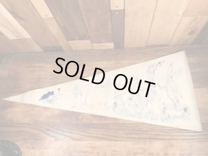 バッグスバニーやトゥイーティーが描かれたルーニーテューンズの70’sヴィンテージペナント