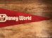 Walt Disney Worldのフロッキー加工の70’sヴィンテージペナント