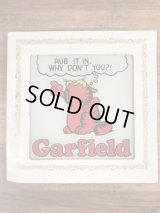 Garfield “Rub It In...” Wall Art Glass Plate　ガーフィールド　ビンテージ　ガラスプレート　70〜80年代