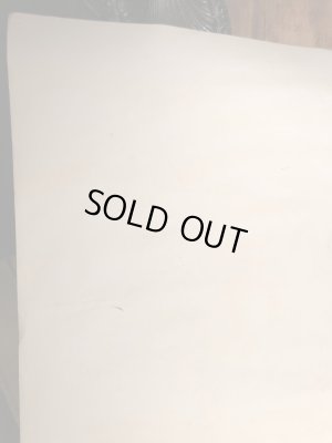 70年代頃のMCエッシャーのビンテージポスター