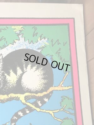 60〜70’sのアリスインワンダーランドのパロディのヴィンテージのベルベットポスター