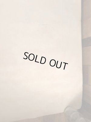 ー70年代頃のエッシャーのドラゴンのヴィンテージのポスター