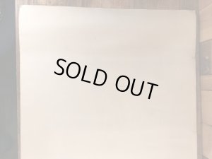 70年代頃のディズニーのビッグアルのヴィンテージのポスター