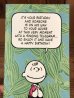70〜80’sのHallmark社製のスヌーピーのチャーリーブラウンのヴィンテージのメッセージカード