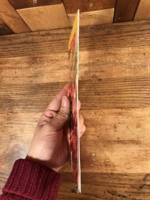 90年代 ビンテージ マクドナルド パンフレット 紙物 雑貨