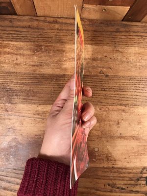 90年代 ビンテージ マクドナルド パンフレット 紙物 雑貨